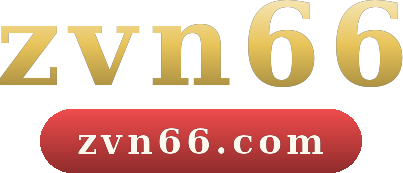 zvn66 logo